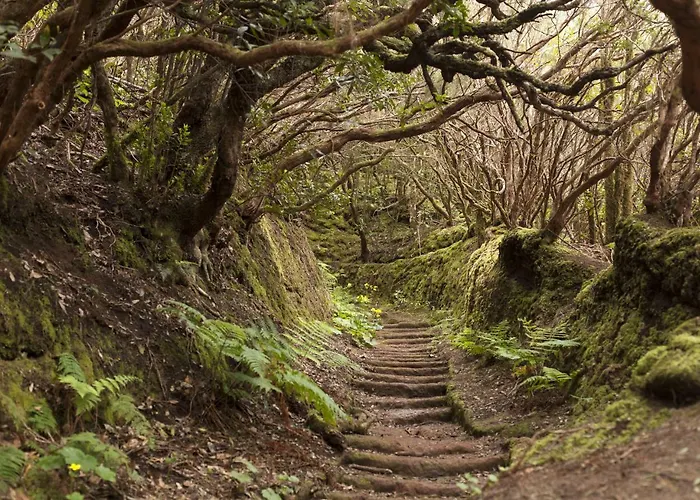 Daire La Nuit Con Parking Gratis En Centro Historico